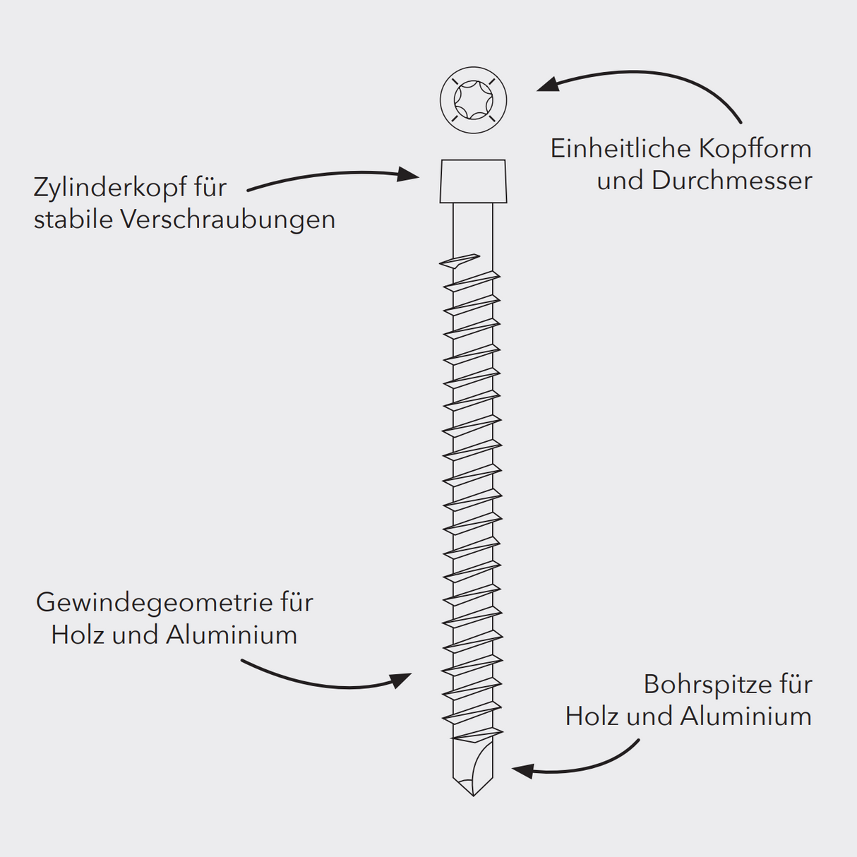 Clipschraube 4,2 x 28 mm, 100 Stück