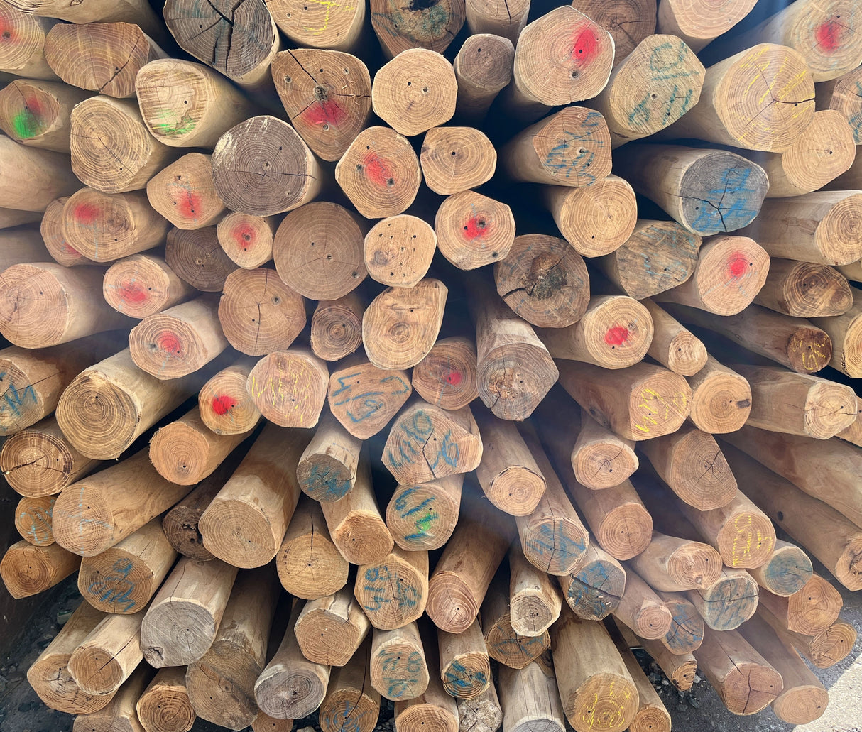 Palissade (bois rond), 60-100 mm