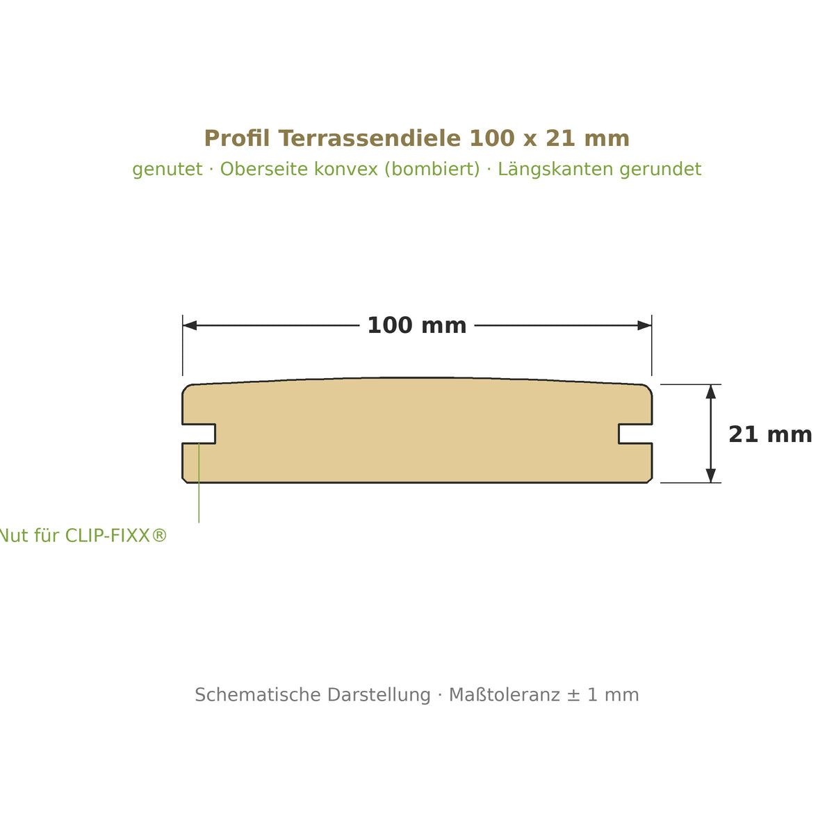 Profilzeichnung Terrassendiele 100 x 21 mm, genutet, bombiert, Längskanten gerundet