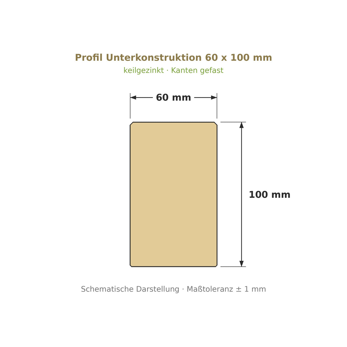 Profilzeichnung Unterkonstruktion Robinie ECO SELECT 60 x 100 mm, keilgezinkt
