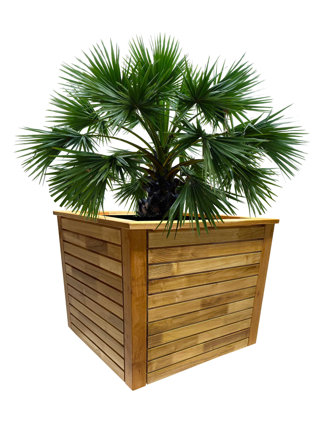 RobiCUBE 80-80 - Pflanzkübel & Hochbeet 80 x 80 cm - vormontiert