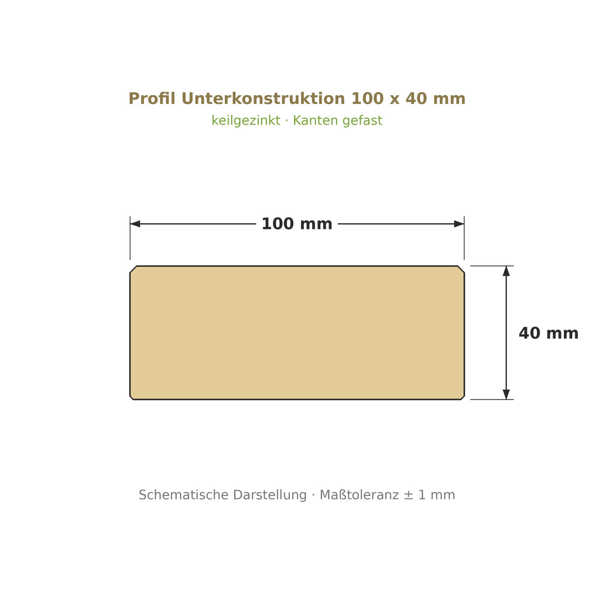 Profilzeichnung Unterkonstruktion Robinie ECO SELECT 100 x 40 mm, keilgezinkt